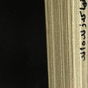 کتاب انها که زنده اند