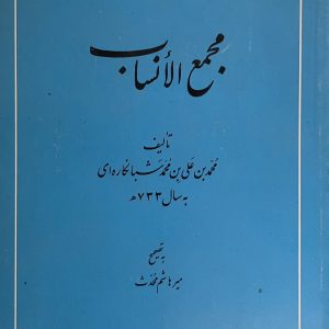 کتاب مجمع الانساب
