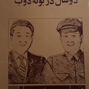 کتاب دو سال در بوته ذوب