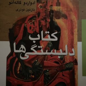 کتاب دلبستگی ها