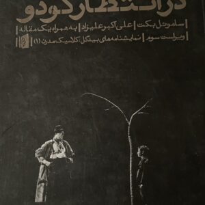 کتاب در انتظار گودو