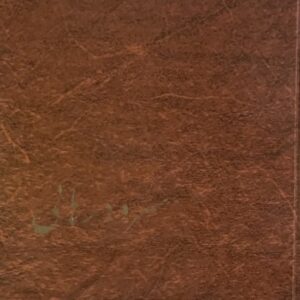 کتاب سرود رهایی ادیب برومند