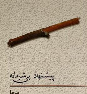 کتاب پیشنهاد بی شرمانه