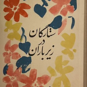 کتاب ستارگان در زیر باران