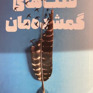 کتاب قلب های گمشده مان