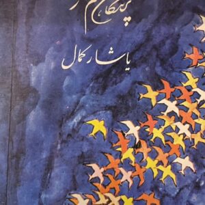 کتاب پرندگان هم رفتند