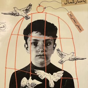 کتاب پرندگان نیز رفتند